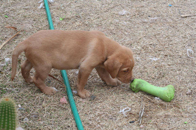 First outing - 8